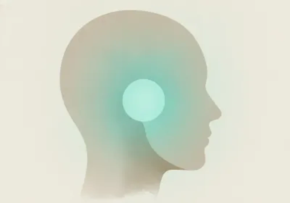 턱관절